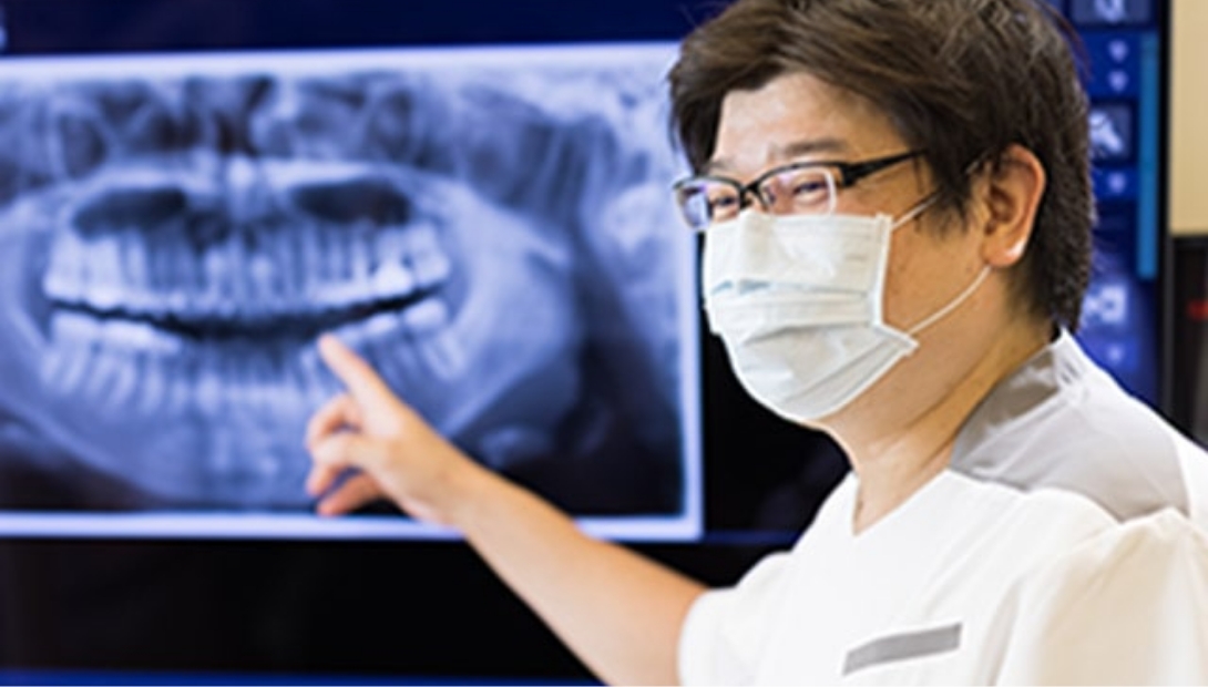 視覚的でわかりやすい説明